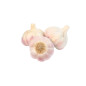 AIL ROSE 4KG